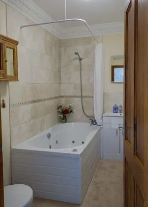 Deluxe Tek Büyük Yataklı Oda, Banyolu/Duşlu (School Room)