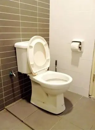 Stüdyo