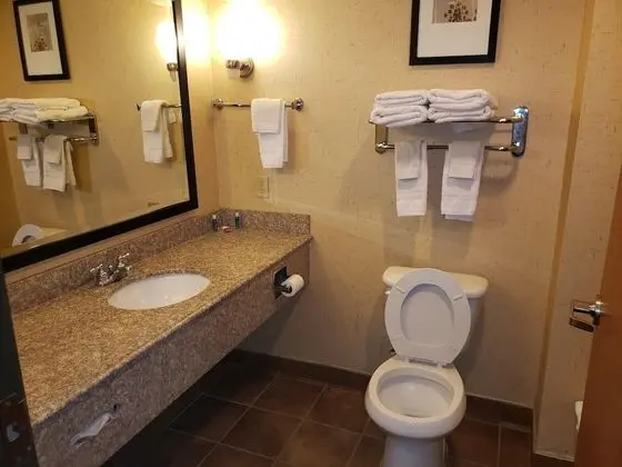 Executive Süit, 1 En Büyük (King) Boy Yatak ve Çekyat, Engellilere Uygun (1 Person Sofa Bed)