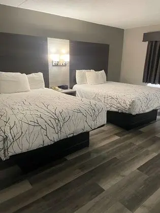 Deluxe Oda, 2 Büyük (Queen) Boy Yatak