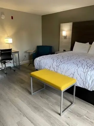 Süit, 1 En Büyük (King) Boy Yatak, Sigara İçilmez