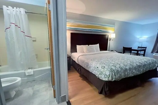 Standard Stüdyo, 1 En Büyük (King) Boy Yatak, Sigara İçilmez