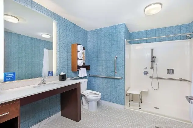 Tek Büyük Yataklı Oda, Engellilere Uygun (Roll In Shower)