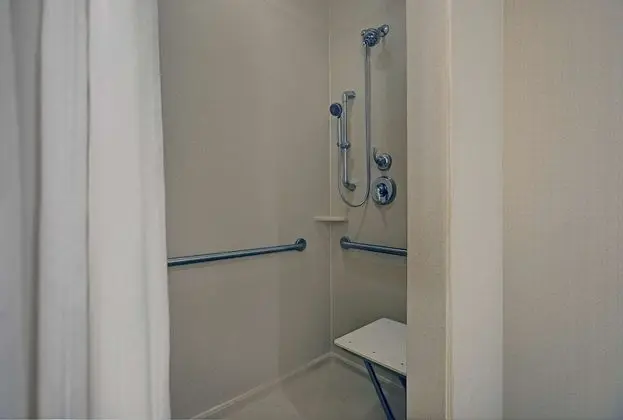 Süit, 2 Büyük (Queen) Boy Yatak, Engellilere Uygun (Roll-in Shower)