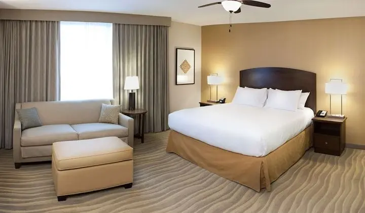 Süit, 1 En Büyük (King) Boy Yatak, Sigara İçilmez (Hospitality)