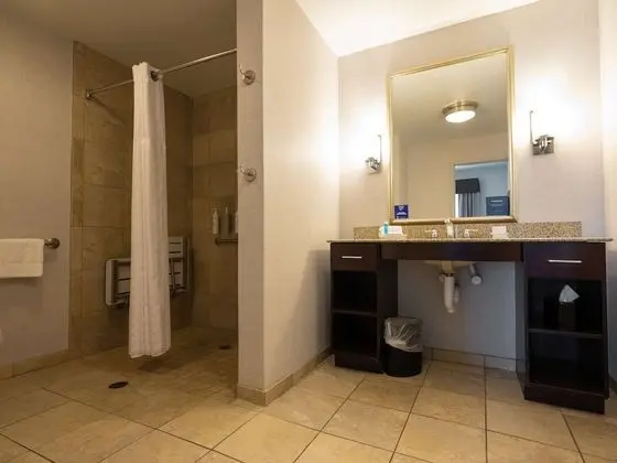 Süit, 1 En Büyük (King) Boy Yatak, Engellilere Uygun, Sigara İçilmez (Roll-in Shower)