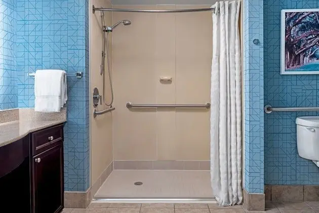 Süit, 2 Büyük (Queen) Boy Yatak, Engellilere Uygun (Roll-in Shower)