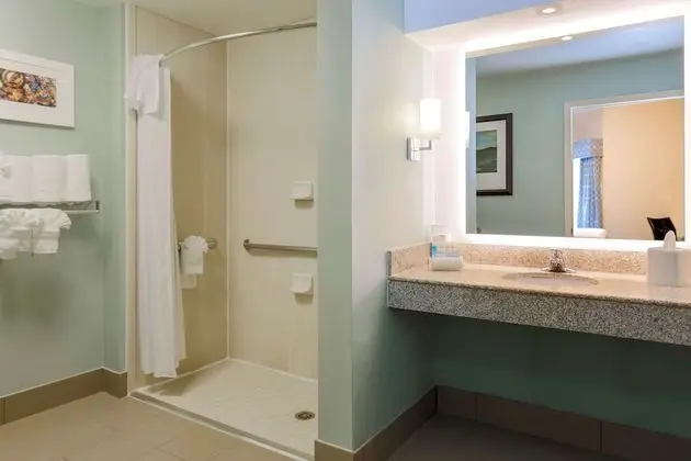 Süit, 2 Çift Kişilik Yatak, Engellilere Uygun, Sigara İçilmez (Roll-in Shower)