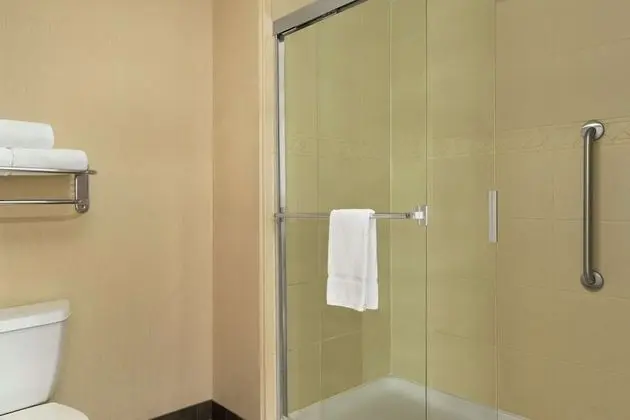 Stüdyo, 1 En Büyük (King) Boy Yatak, Engellilere Uygun (Roll-in Shower)