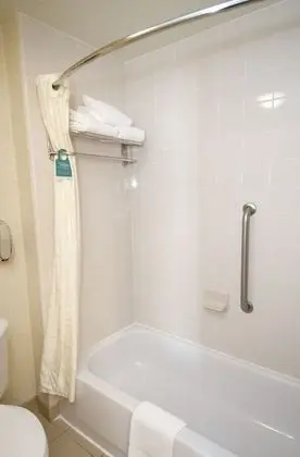 Stüdyo Süit, 1 En Büyük (King) Boy Yatak