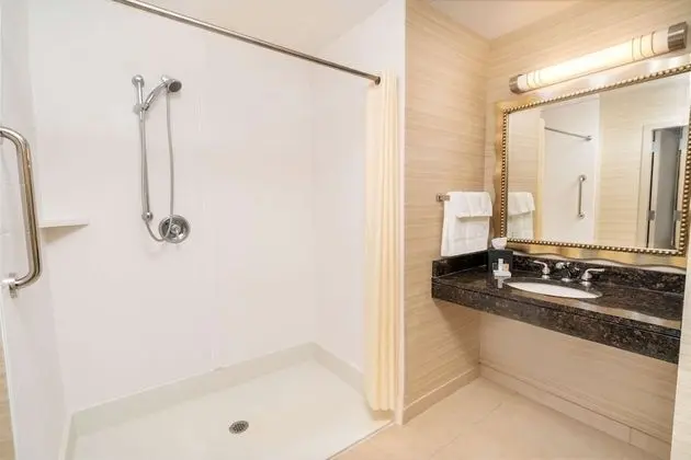 Süit, 1 En Büyük (King) Boy Yatak, Engellilere Uygun (Roll-In Shower)