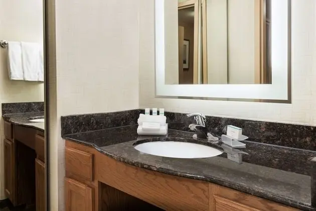 Süit, 1 En Büyük (King) Boy Yatak, Sigara İçilmez (1 Bedroom)