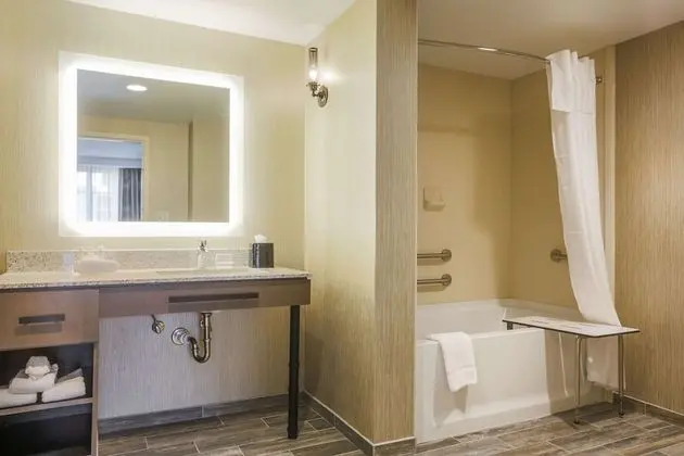 ADA Studio, 1 King Bed with Sofa bed, Bathtub (Mobility & Hearing)
