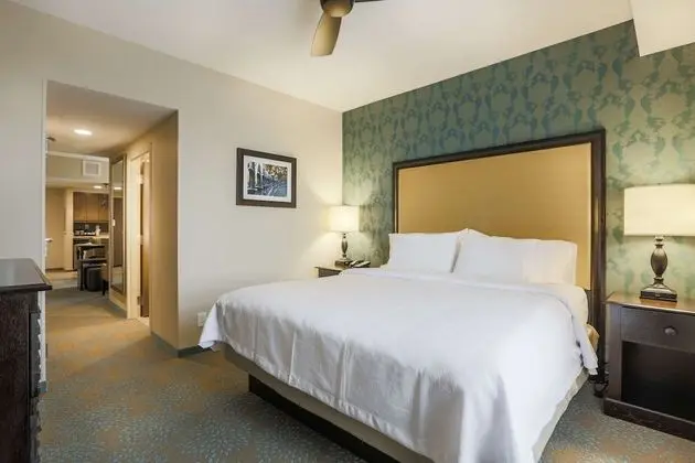 ADA Suite, 1 King Bed, Non Smoking (Roll-in Shower)