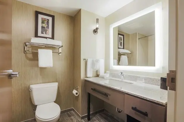 ADA Suite, 1 King Bed, Non Smoking (Roll-in Shower)