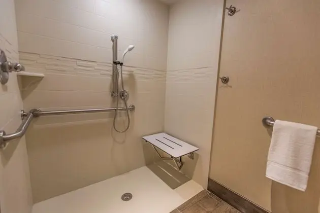 Süit, 1 En Büyük (King) Boy Yatak, Engellilere Uygun (Mobility & Hearing, Roll-in Shower)