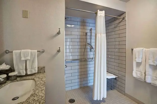 Süit, 1 En Büyük (King) Boy Yatak ve Çekyat, Engellilere Uygun, Sigara İçilmez (Roll-in Shower)