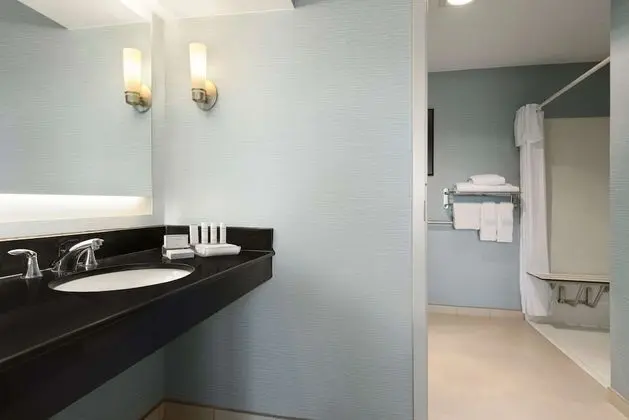 Oda, Engellilere Uygun, Sigara İçilmez (Roll-in Shower)