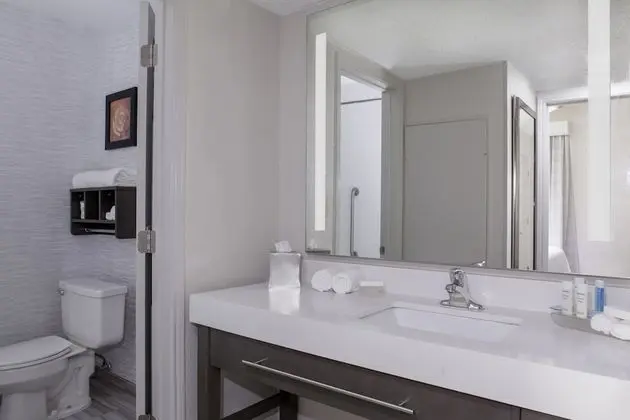 Oda, 1 Çift Kişilik Yatak, Engellilere Uygun (Roll-In Shower)