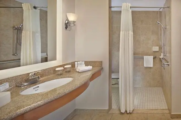 Süit, 1 En Büyük (King) Boy Yatak, Engellilere Uygun (Roll-in Shower)