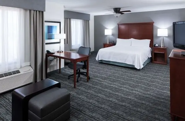 ADA Accessible, Studio, 1 King Bed, Accessible (Roll-in Shower)