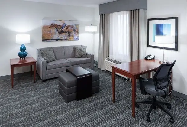 ADA Accessible, Studio, 1 King Bed, Accessible (Roll-in Shower)