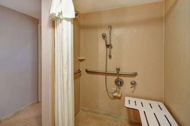 Stüdyo, 1 En Büyük (King) Boy Yatak, Engellilere Uygun (Mobility & Hearing, Roll-in Shower)