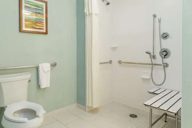 Süit, 1 En Büyük (King) Boy Yatak, Engellilere Uygun, Sigara İçilmez (Roll-in Shower)