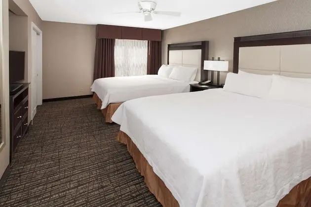 Süit, 1 Yatak Odası, Şömine (2 Queen Beds, 1 Sofa Bed)