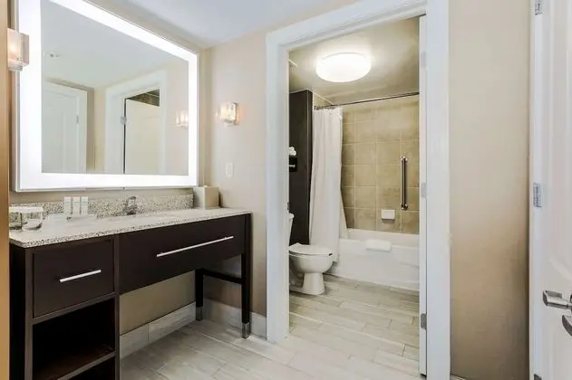 Stüdyo, 1 En Büyük (King) Boy Yatak, Engellilere Uygun, Sigara İçilmez (Mobility & Hearing, Bathtub)