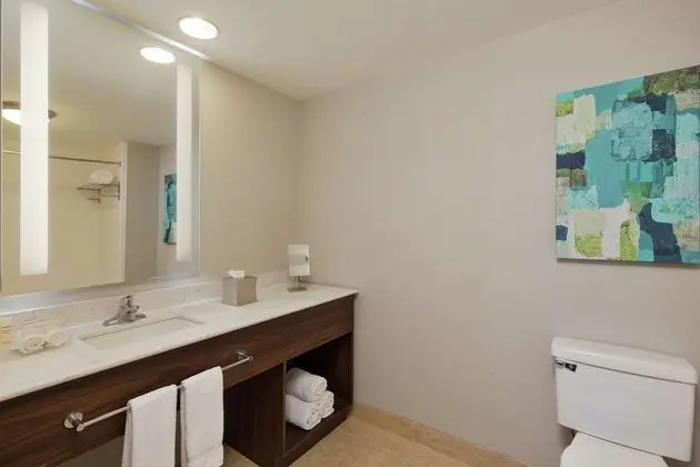 Oda, Engellilere Uygun, Sigara İçilmez (Roll-in shower)