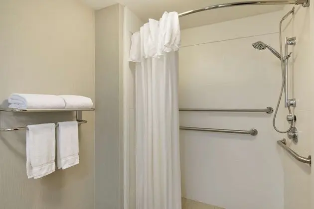 Oda, Engellilere Uygun, Sigara İçilmez (Roll-in shower)