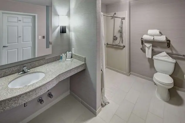 Oda, Engellilere Uygun, Sigara İçilmez (Roll-in Shower)
