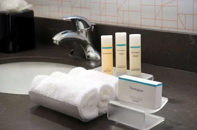 Stüdyo, 1 En Büyük (King) Boy Yatak, Engellilere Uygun (Roll-in Shower)