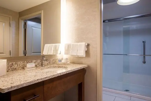 Süit, 1 En Büyük (King) Boy Yatak, Engellilere Uygun, Sigara İçilmez (Roll-In Shower)