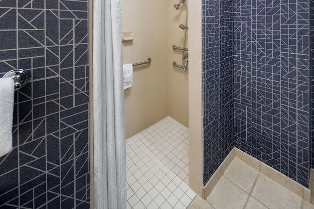 Stüdyo, Engellilere Uygun (Roll-in Shower)