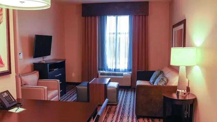King Suite, Süit, 1 En Büyük (King) Boy Yatak, Sigara İçilmez