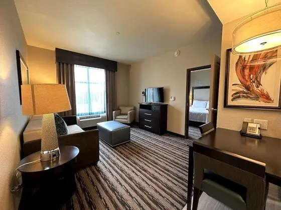 King Suite, Süit, 1 En Büyük (King) Boy Yatak, Sigara İçilmez