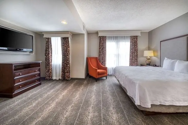 Süit, 1 Yatak Odası, Sigara İçilmez (1 King Bed)