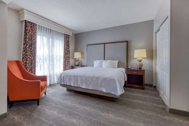 Süit, 1 Yatak Odası, Sigara İçilmez (1 King Bed)