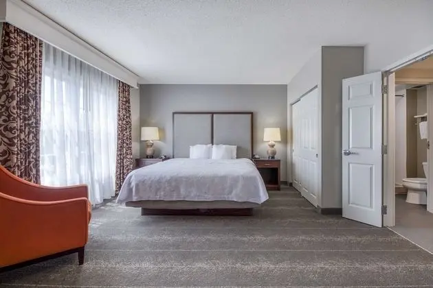 Süit, 1 Yatak Odası, Sigara İçilmez (1 King Bed)