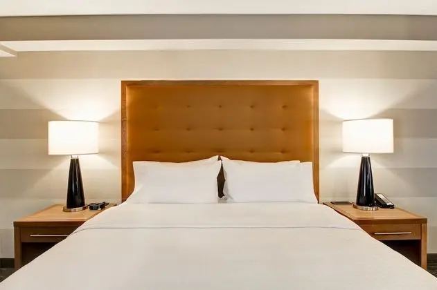 Süit, 1 Yatak Odası, Sigara İçilmez (1 King Bed)