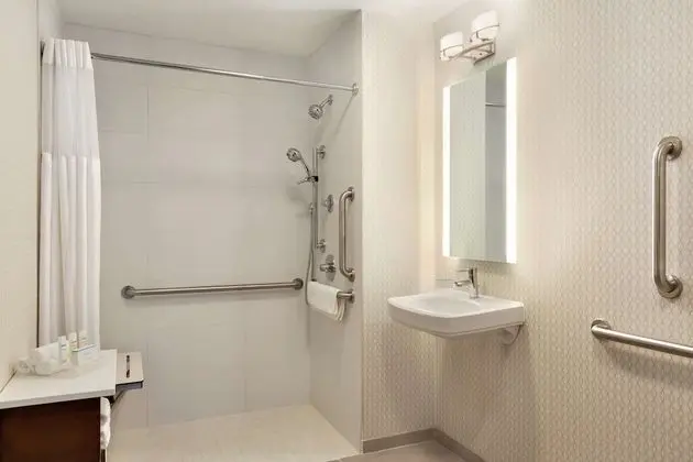 Süit, 1 Büyük (Queen) Boy Yatak, Engellilere Uygun (Roll-In Shower)