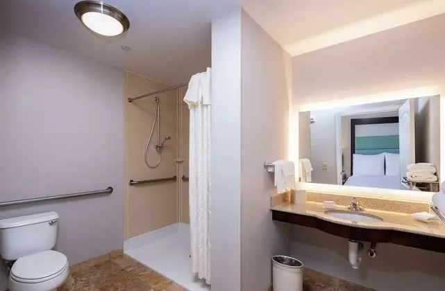 Süit, Engellilere Uygun (Roll-in Shower)