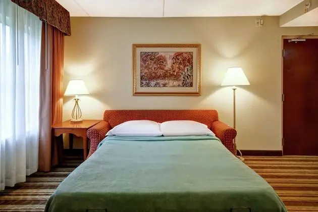 Süit, 1 En Büyük (King) Boy Yatak ve Çekyat, Engellilere Uygun, Sigara İçilmez (Bathtub)