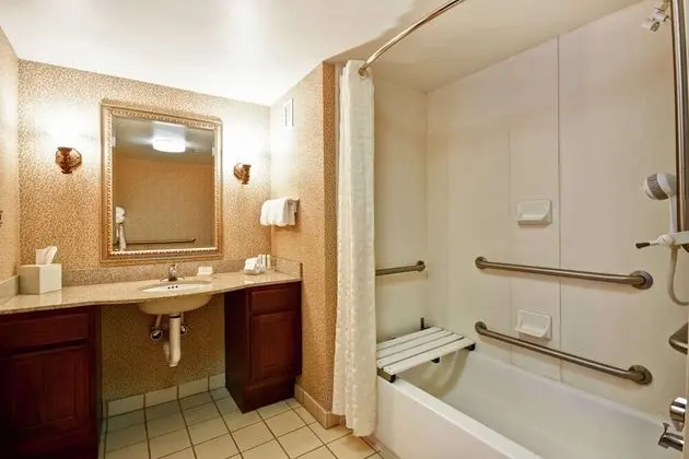 Süit, 1 En Büyük (King) Boy Yatak ve Çekyat, Engellilere Uygun, Sigara İçilmez (Bathtub)