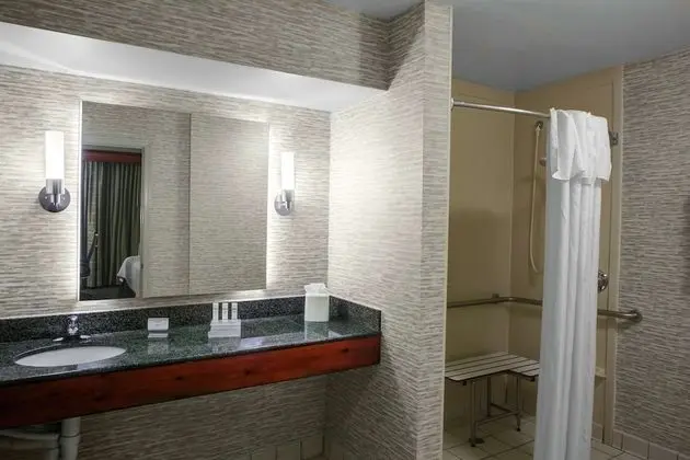 Süit, 2 Çift Kişilik Yatak, Engellilere Uygun (Mobility & Hearing, Roll-in Shower)
