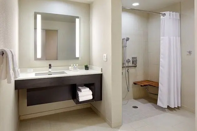 Stüdyo, Engellilere Uygun, Sigara İçilmez (Roll-in Shower)