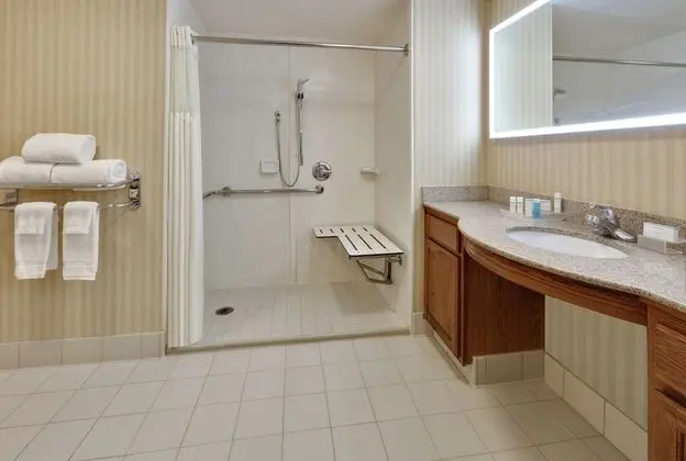 Stüdyo, 1 En Büyük (King) Boy Yatak, Sigara İçilmez (Roll-In Shower w/sleeper sofa)