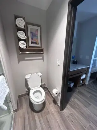 Stüdyo Süit, 1 En Büyük (King) Boy Yatak